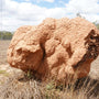 Thick Red Termite Mounds
