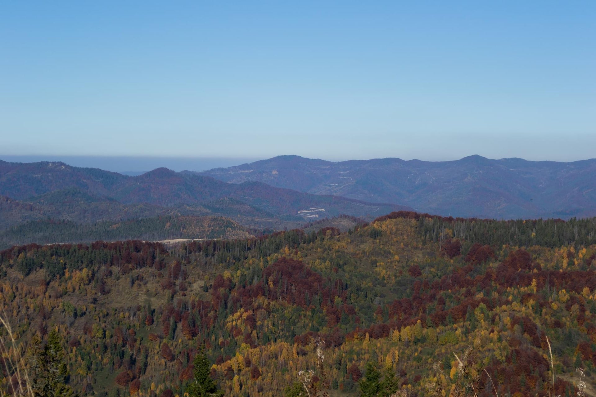 Carpathian Mountains in Autumn