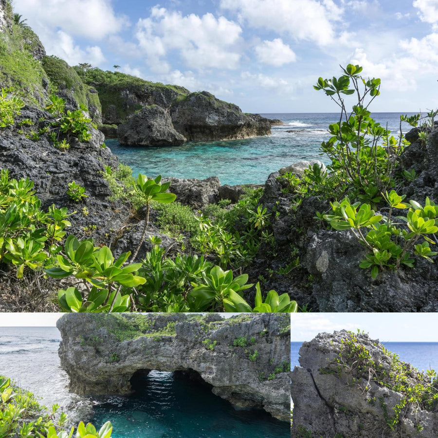 Coral Cliffs Cove