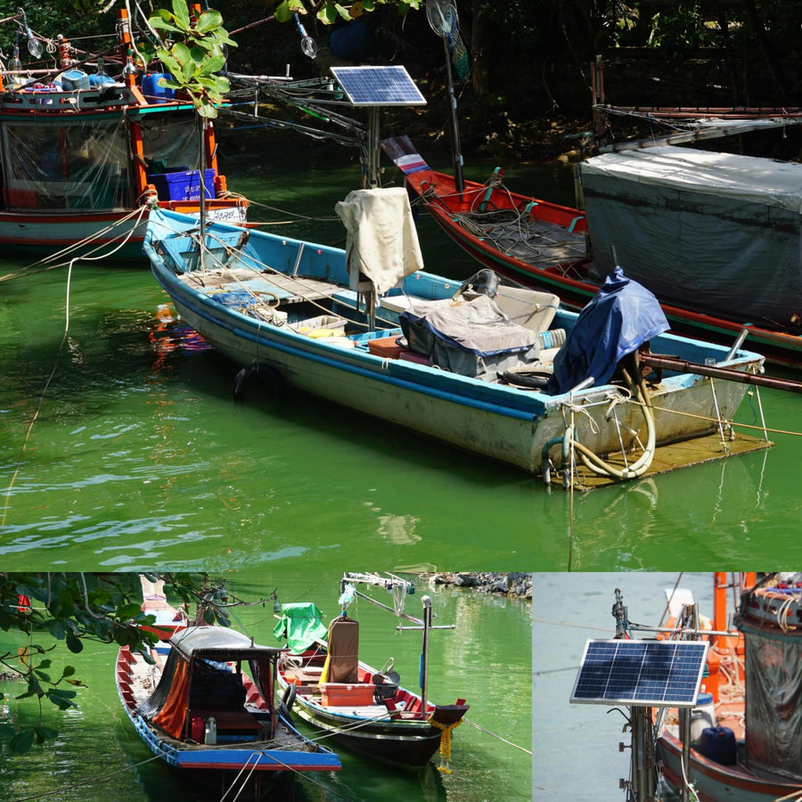 Handmade Wooden Asian Boats