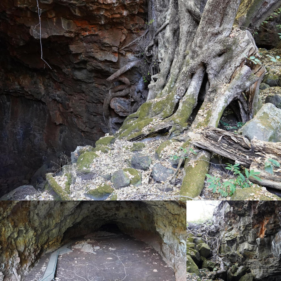 Overgrowing Lava Tube