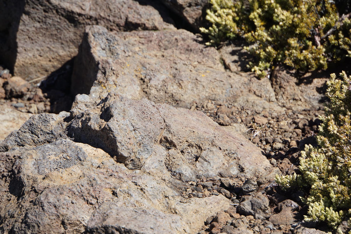 Rubble Or Rocks 97 photos of Volcanic Rubble Rocks – Fotoref