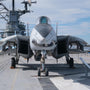 US Navy Strike Fighter F-14A Tomcat