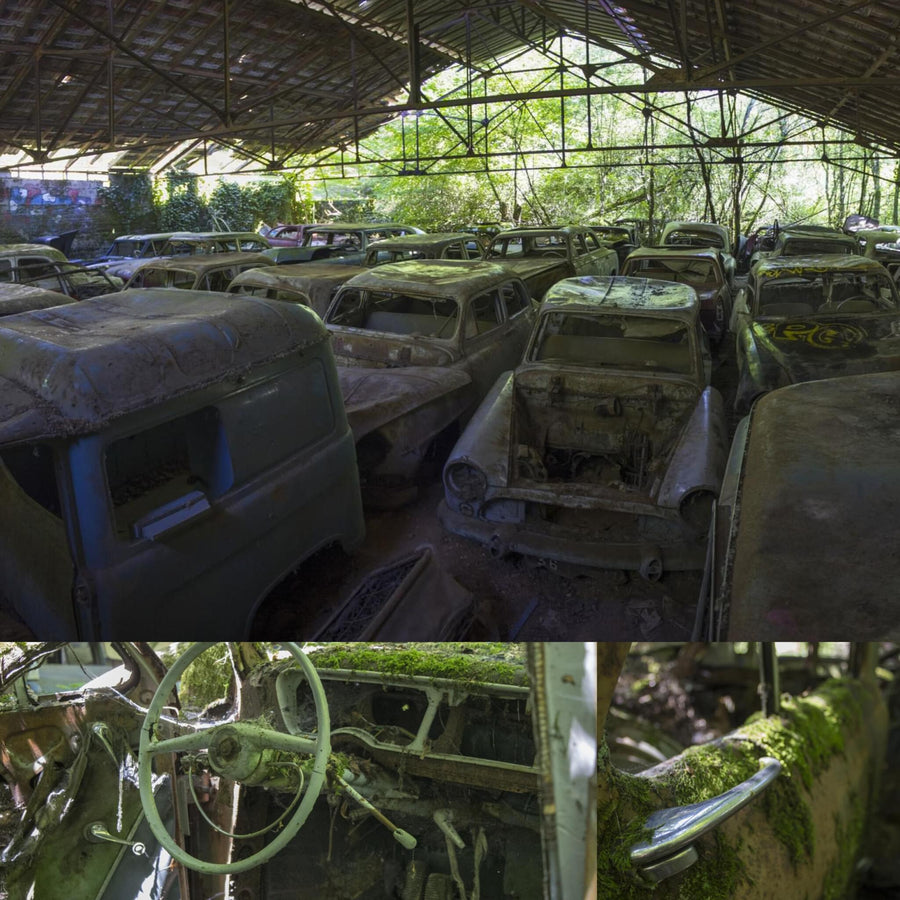 Car Cemetery