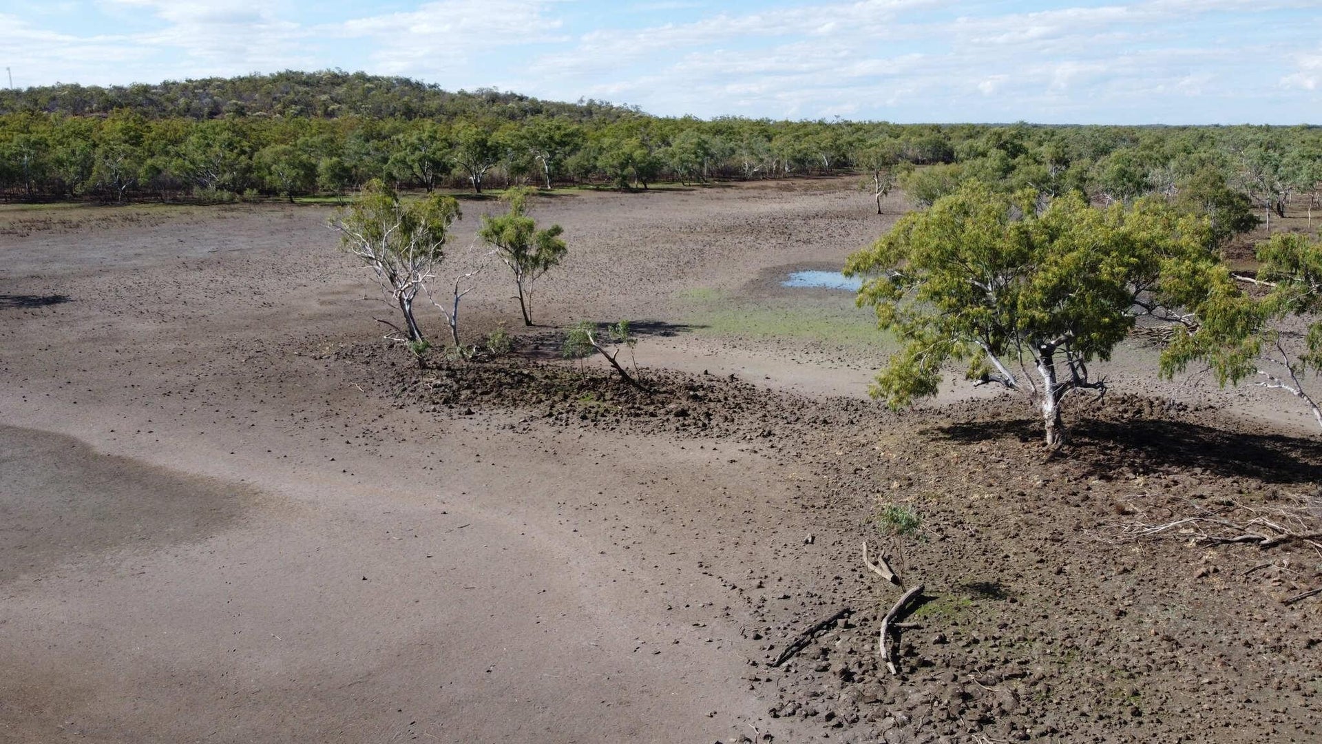 Drying Basalt Covered Swamp