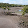 Drying Basalt Covered Swamp