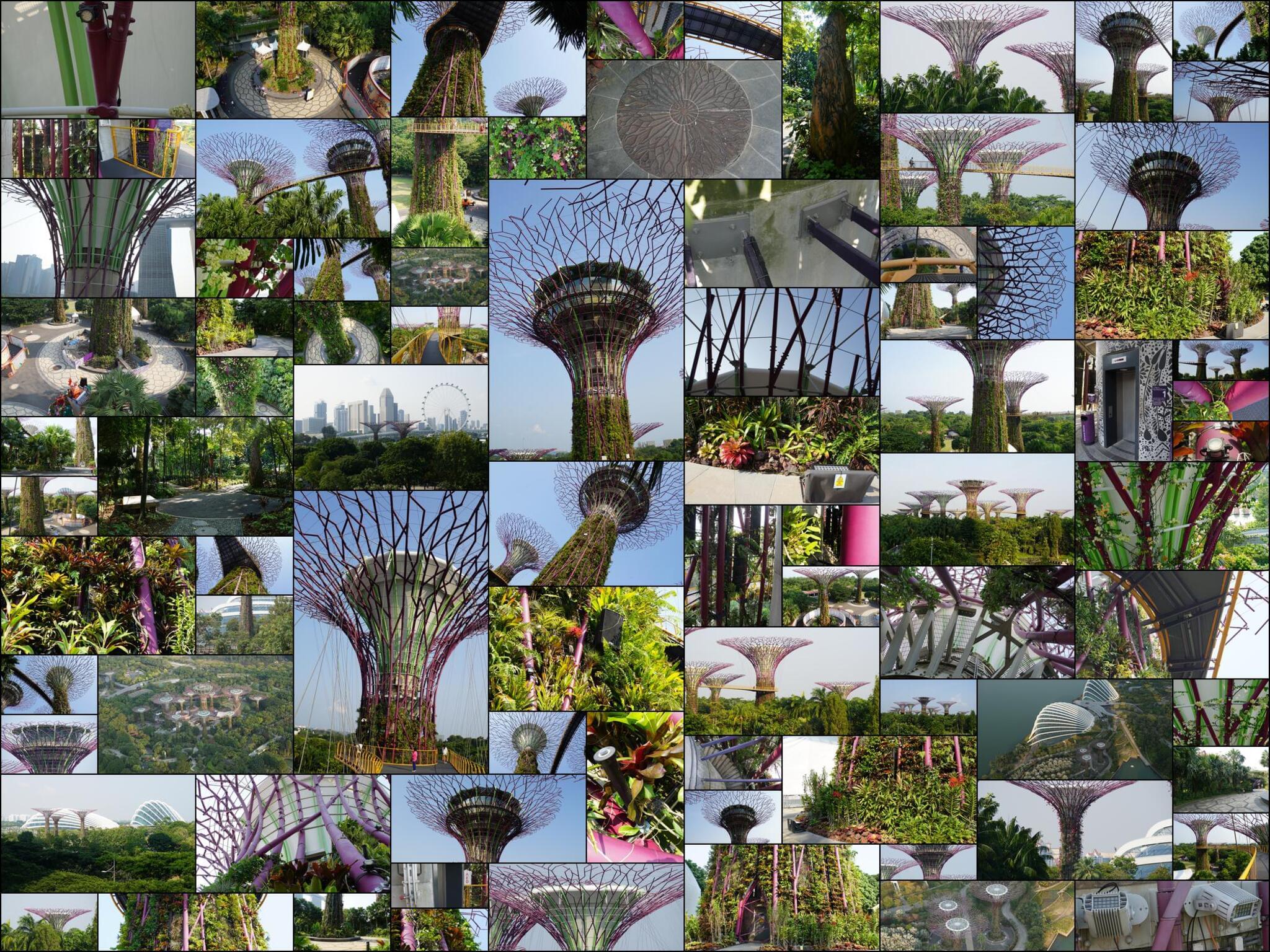 255 photos of Giant Tree Garden Structures – Fotoref