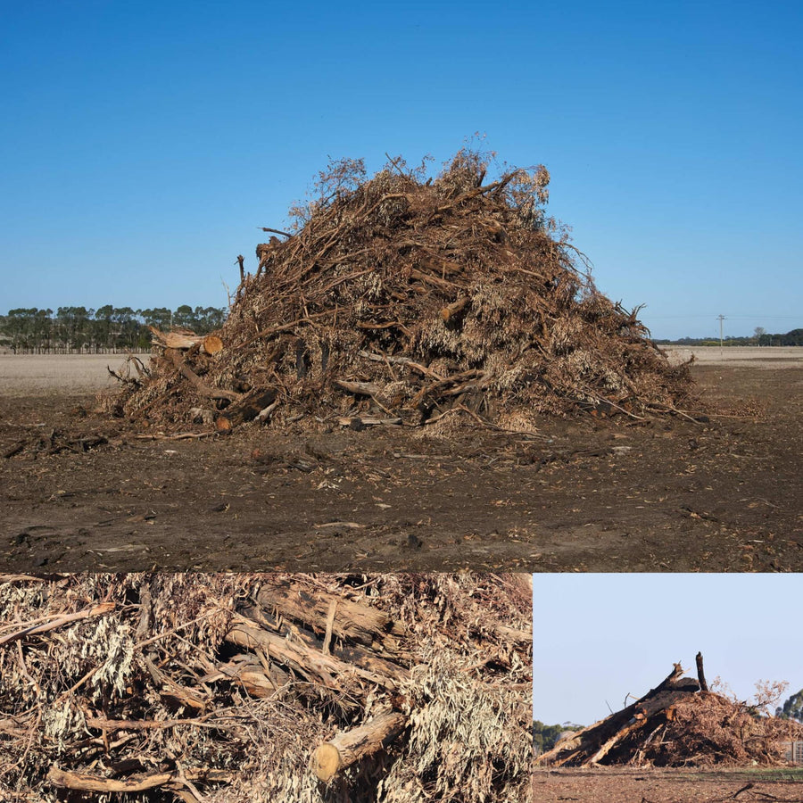 Wood Piles