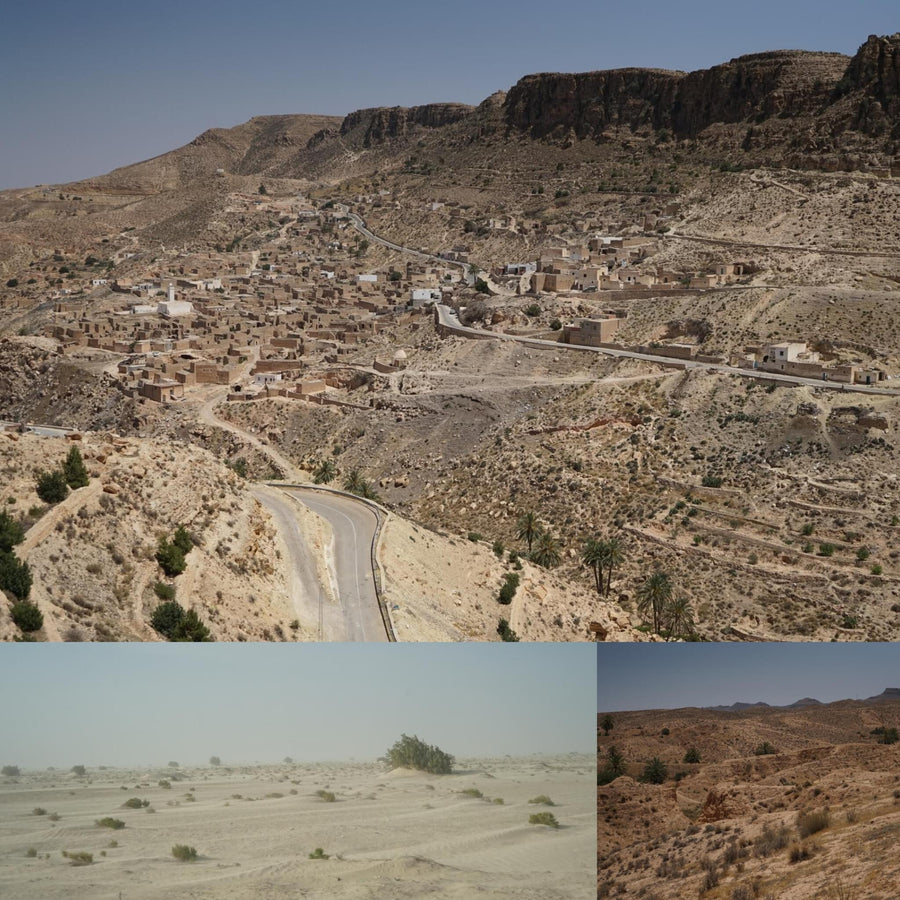 Arid Tunisian Landscapes