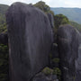 Giant Boulder in Jungle