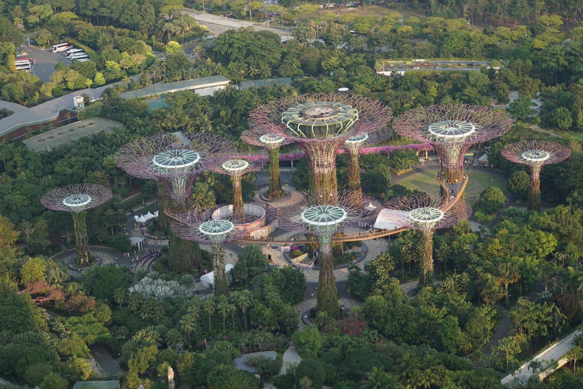 255 photos of Giant Tree Garden Structures – Fotoref