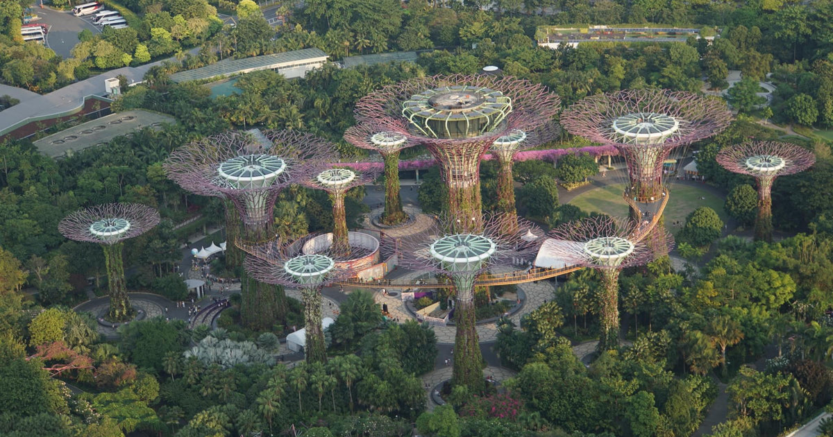 255 photos of Giant Tree Garden Structures – Fotoref