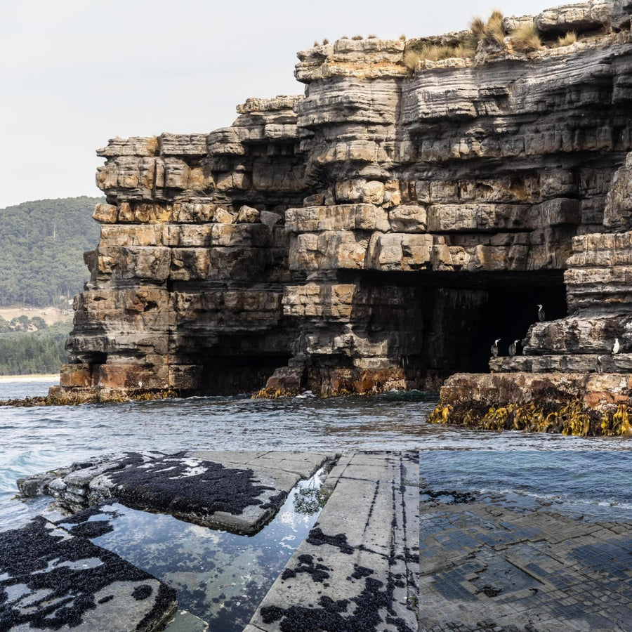 Tesselated Rock Pavement and Cliffs