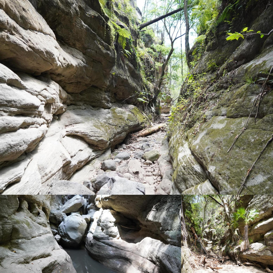 Overgrowing Bulging Narrow Canyon