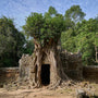 Overgrown Entrance Khmer Temple