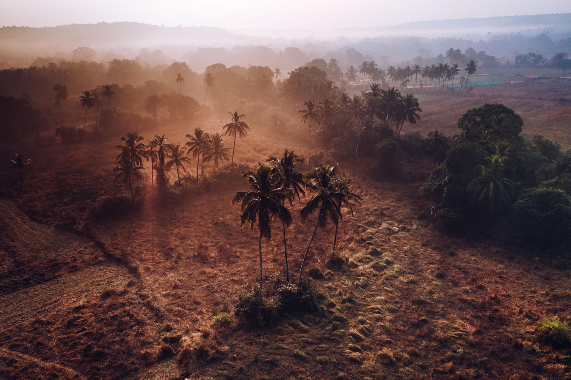 Tropical Island