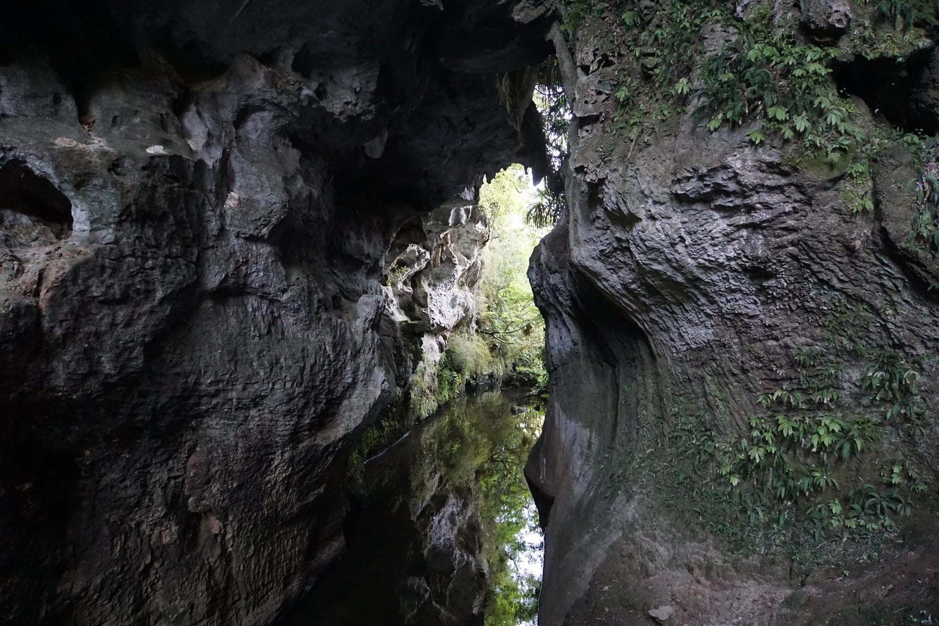 Collapsed and Exposed Cave