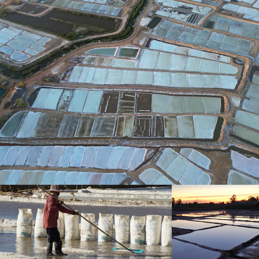 White Salt Fields Farming