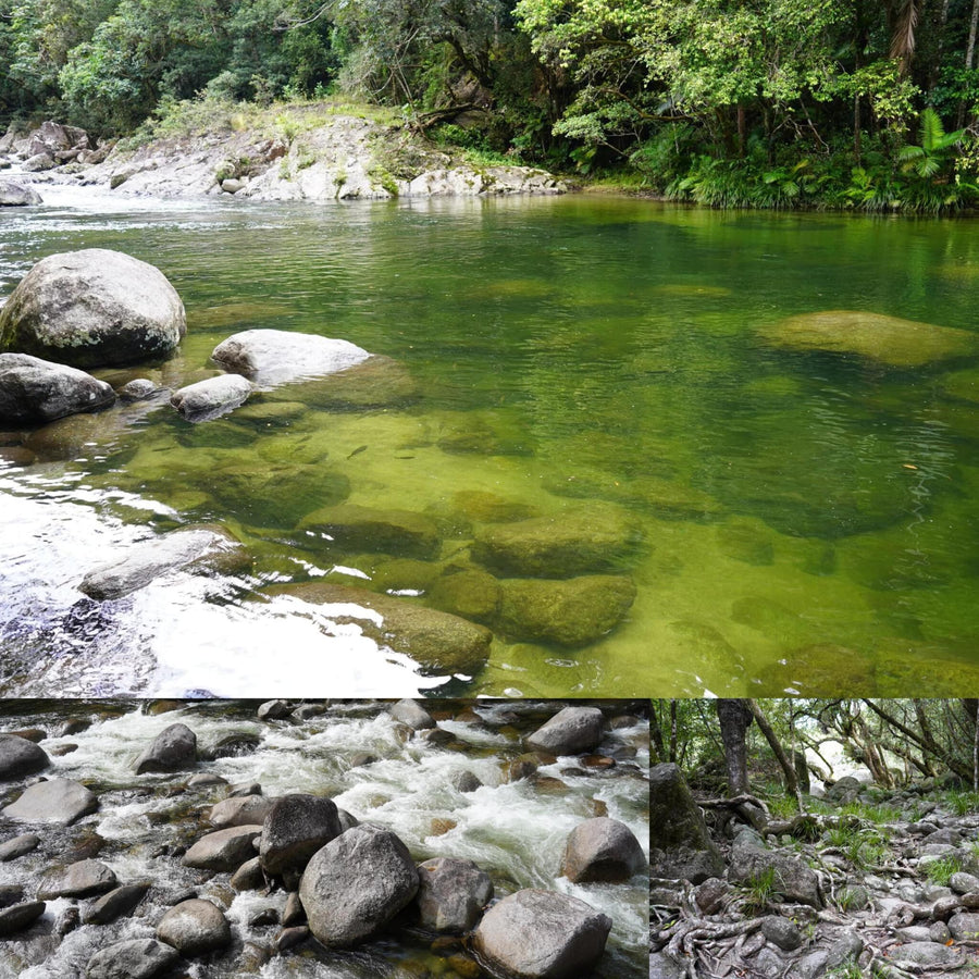 Light Green Shallow Stream