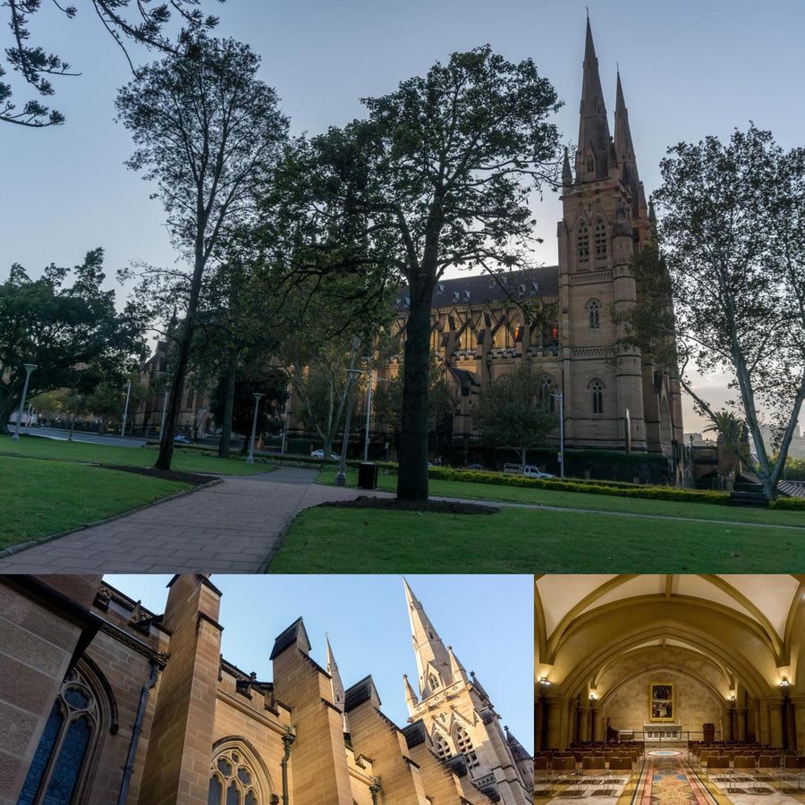 Sydney Neo-Gothic Cathedral