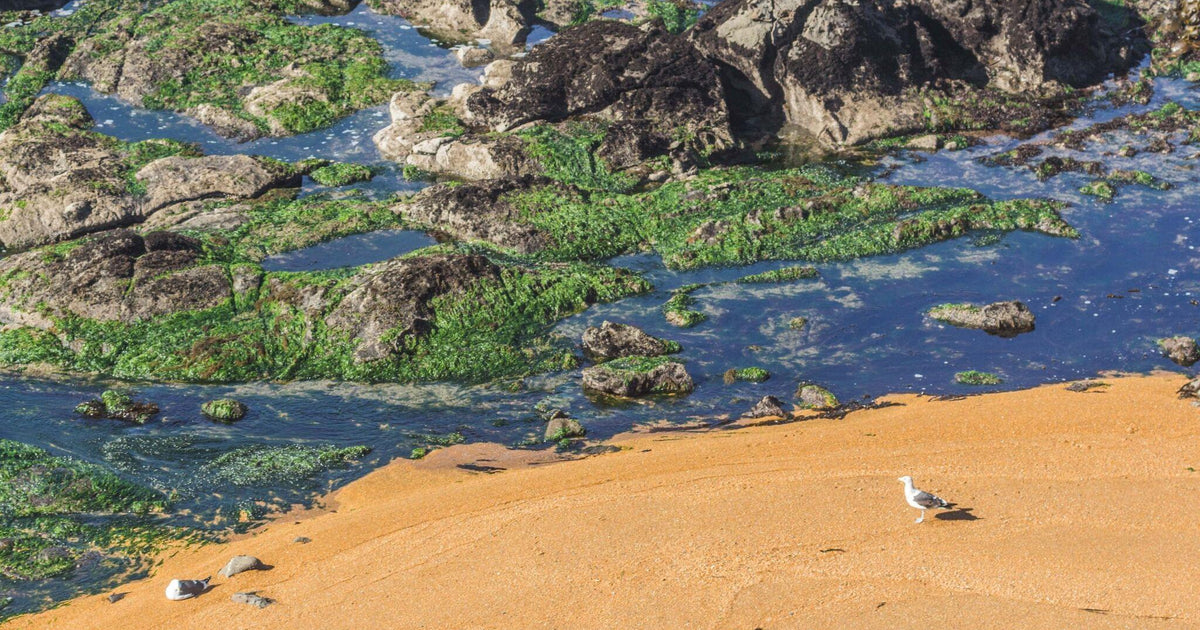 66 photos of Rust Sand – Fotoref