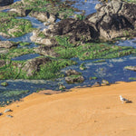 66 photos of Rust Sand – Fotoref