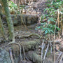 Dried Overgrown Terrace Waterfall