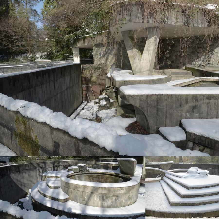 Abandoned Polar Bear Enclosure