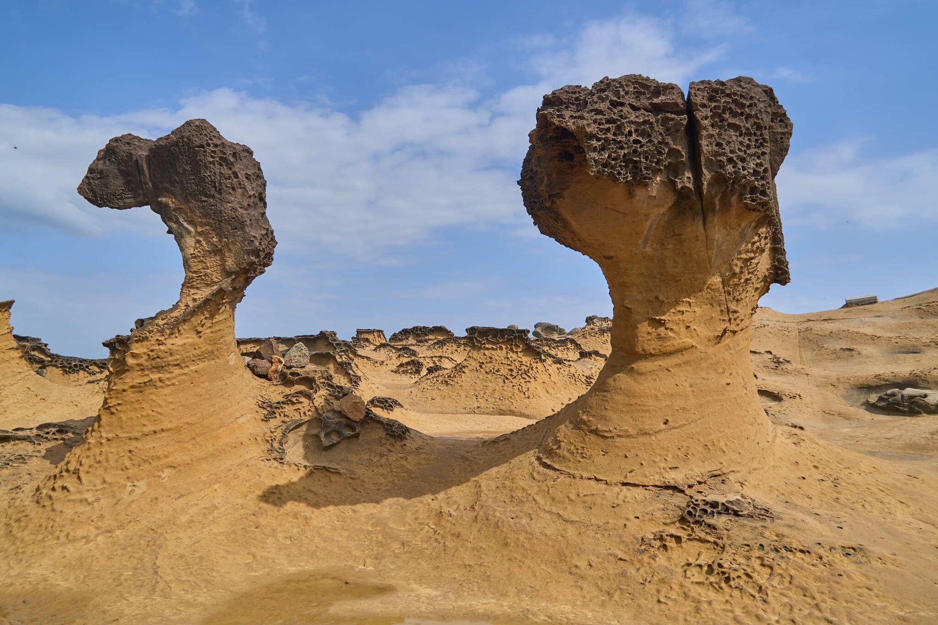 Yellow Porous Volcanic Beach Rocks