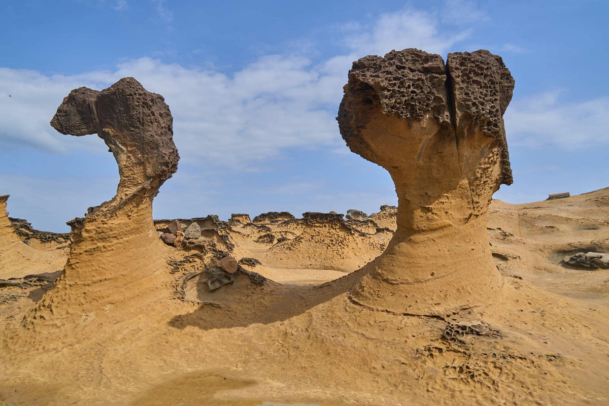 Yellow Rocks Cliffs 296 photos of Yellow Porous Volcanic Beach Rocks – Fotoref