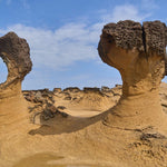 296 photos of Yellow Porous Volcanic Beach Rocks – Fotoref