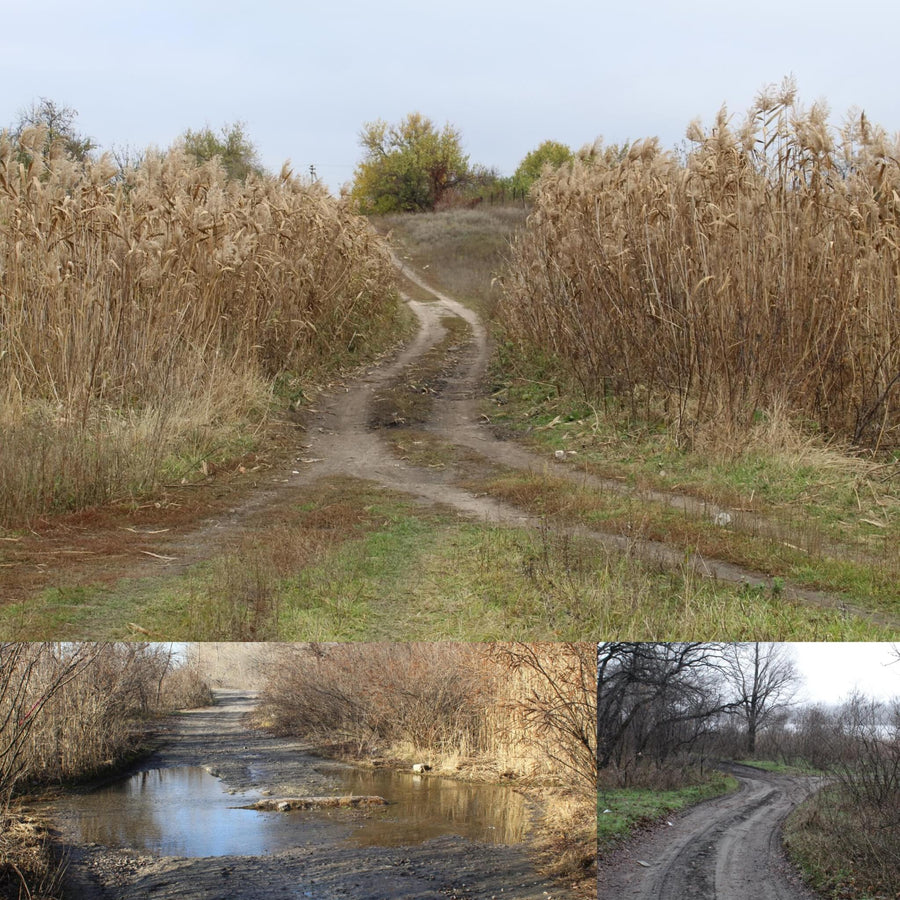 Dirt Roads