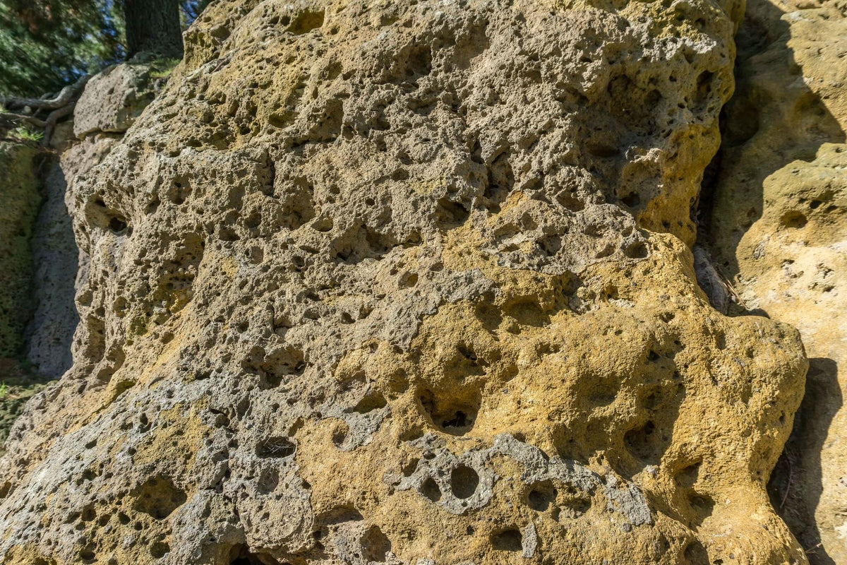 Porous Limestone Rocks 266 photos of Porous Limestone Cliffs – Fotoref