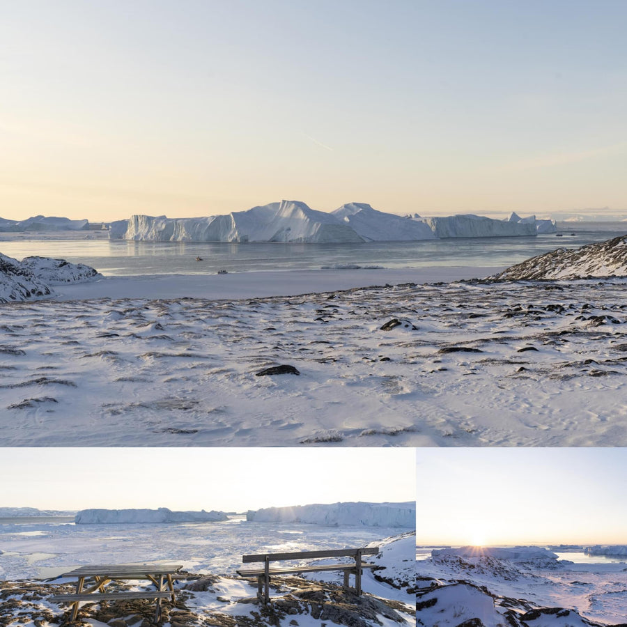 Iceberg Coast