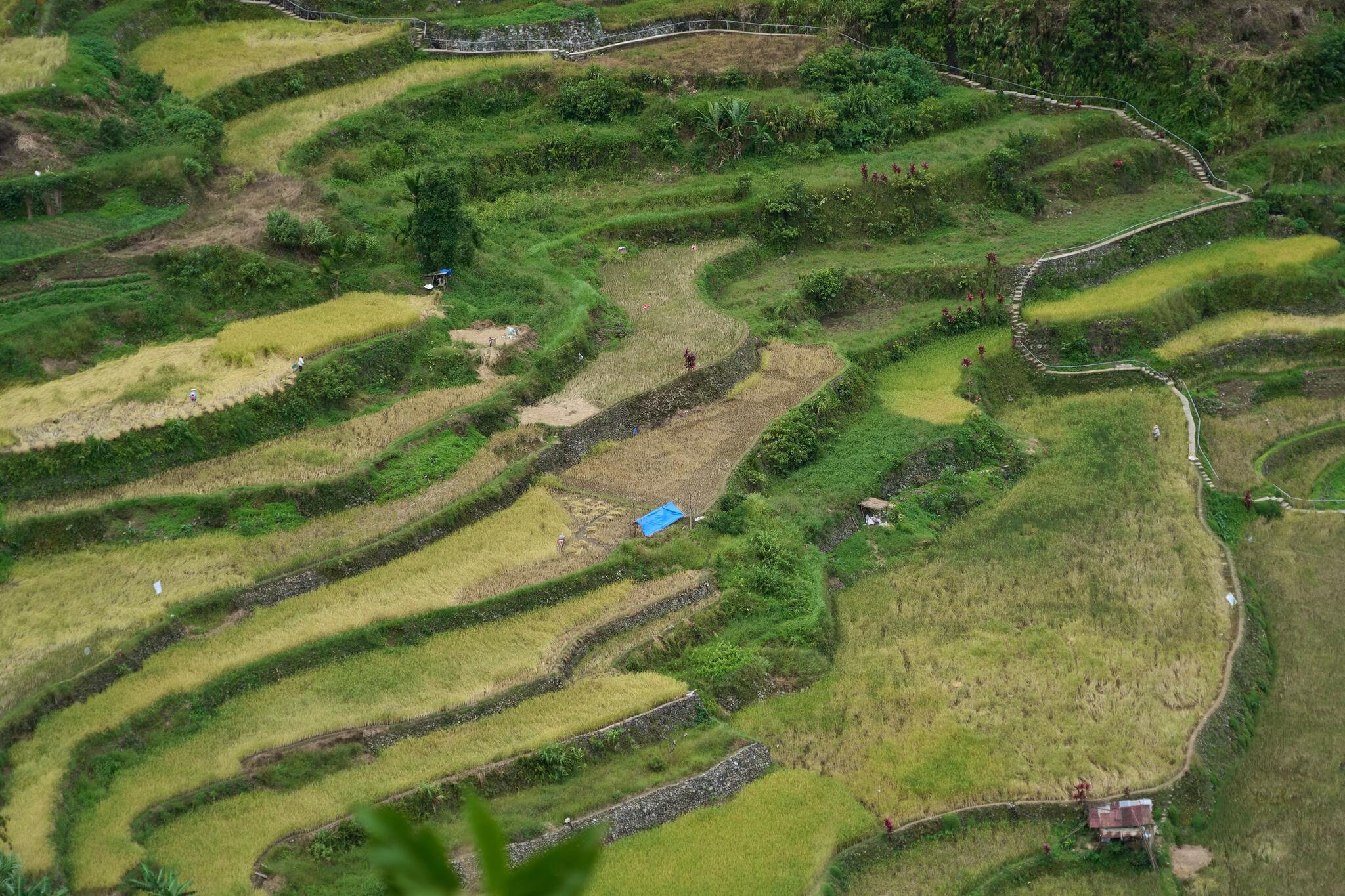 132 photos of Aerial Small Rice Terraces Village – Fotoref