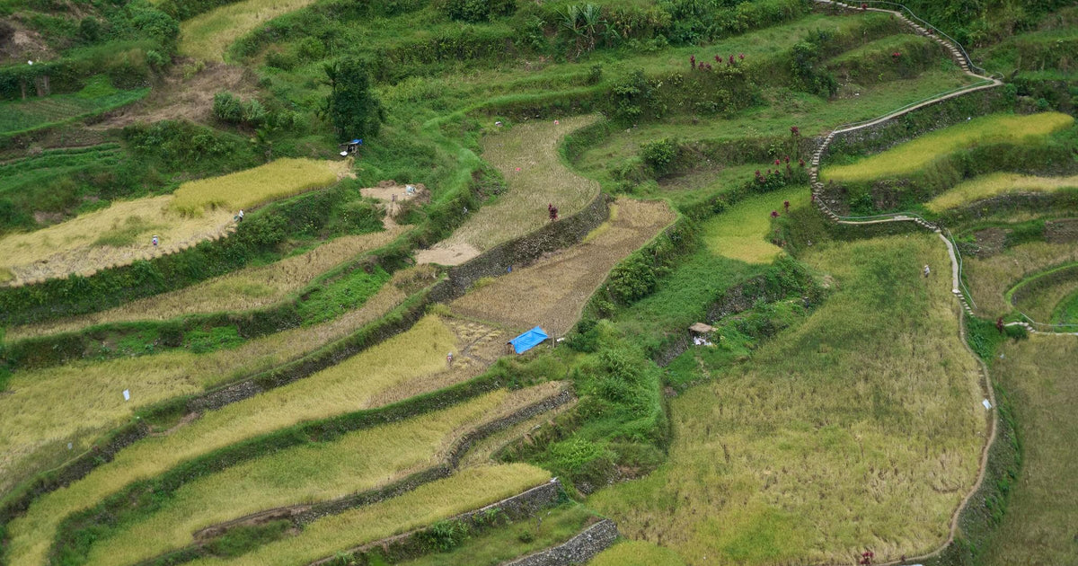 132 photos of Aerial Small Rice Terraces Village – Fotoref
