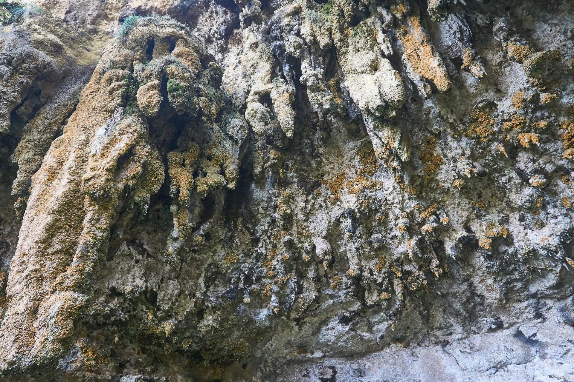 Stalagmite Bay