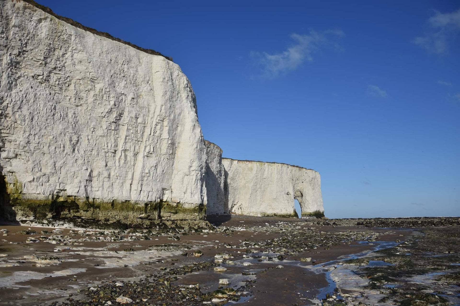 Kingsgate White Cliffs