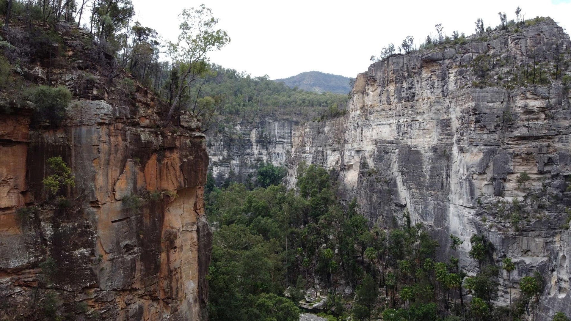 Limestone Gorge Environment
