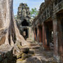 Red and Green Moss Overgrown Khmer Ancient Temple