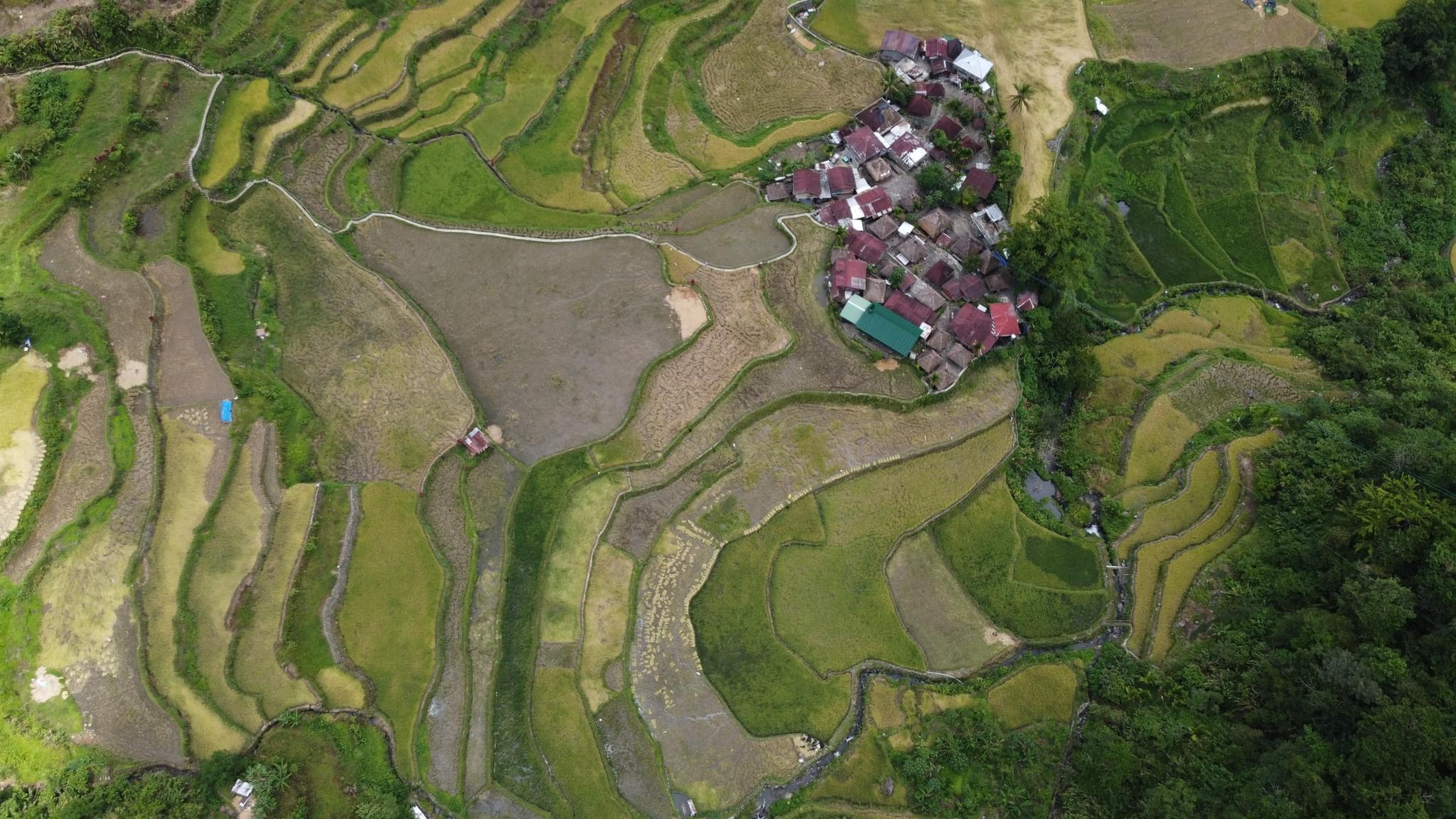 132 photos of Aerial Small Rice Terraces Village – Fotoref