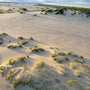 Aerial Sand Dunes with Tracks